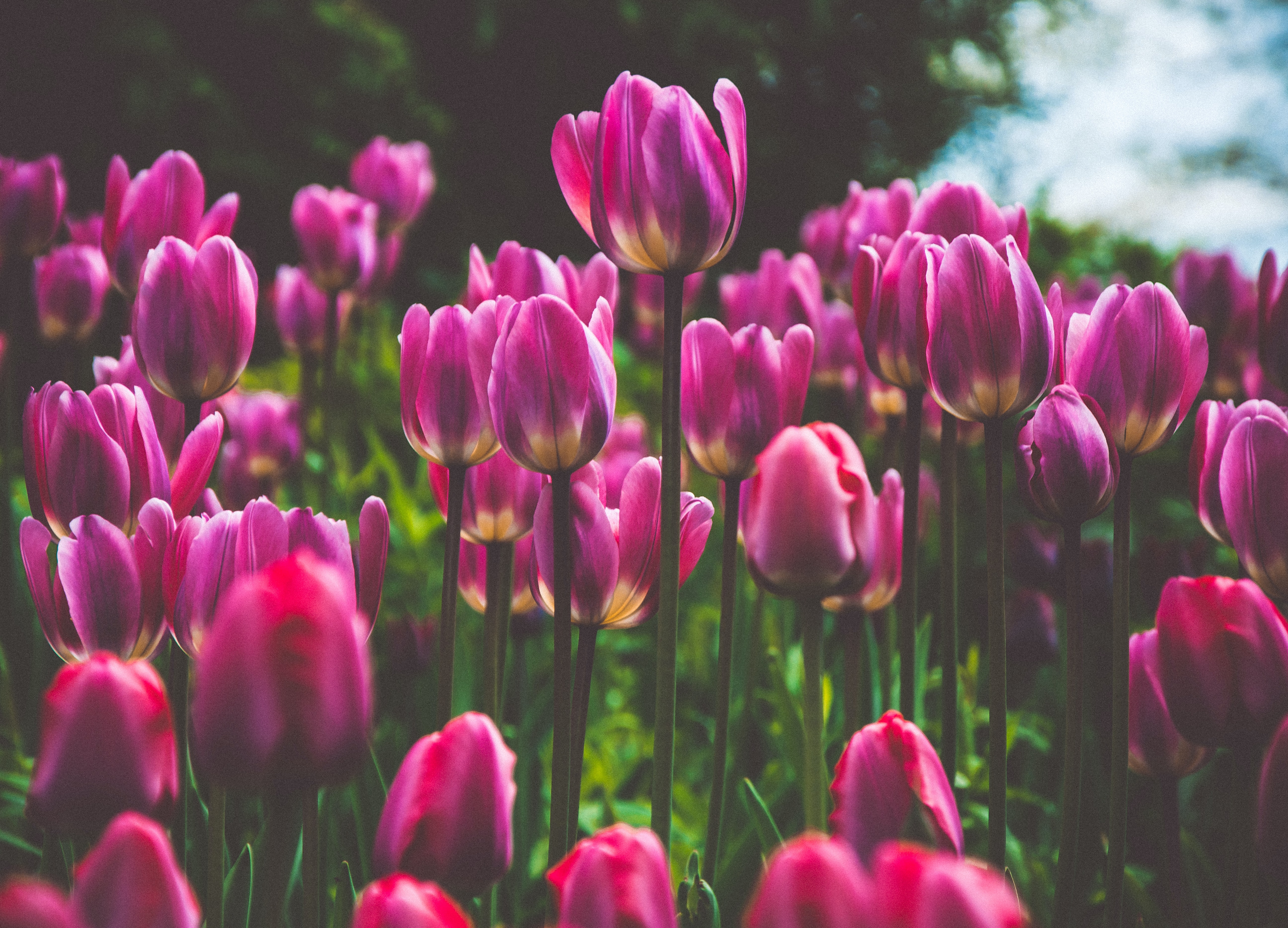 人材を使ってみよう